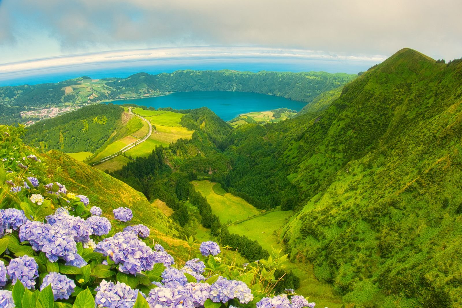 Hydrangeas overlooking the Sete Cidades crater lake on São Miguel
